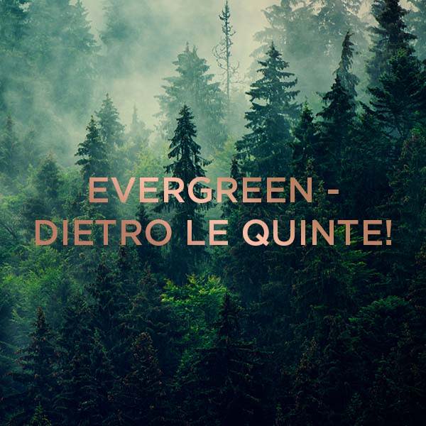Evergreen- dietro le quinte!