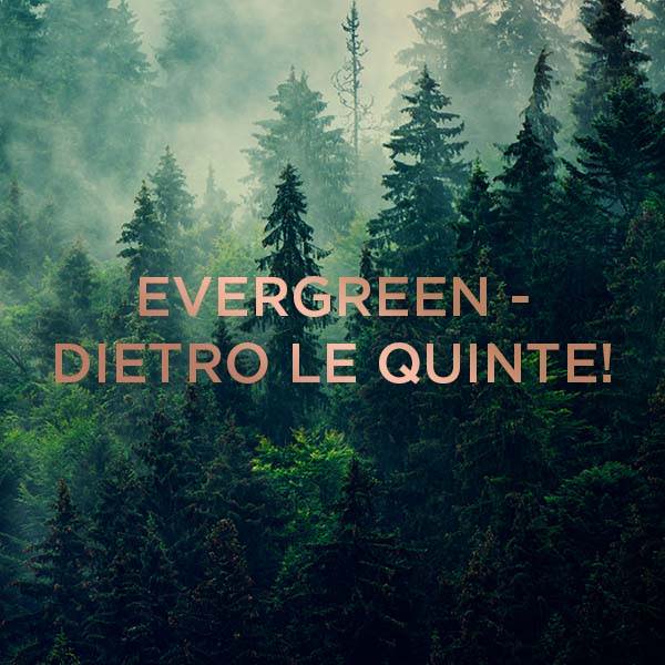 Evergreen - Dietro Le Quinte!